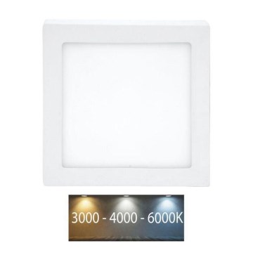 LED Stropní svítidlo RAFA LED/25W/230V 3000/4000/6000K 30x30 cm bílá