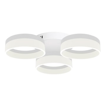 LED Stropní svítidlo RING  3xLED/12W/230V bílé