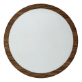 LED Stropní svítidlo RING LED/18W/230V 4200K pr. 21 cm hnědá