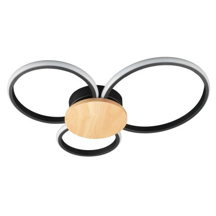 LED Stropní svítidlo SABINA LED/38W/230V kaučukovník