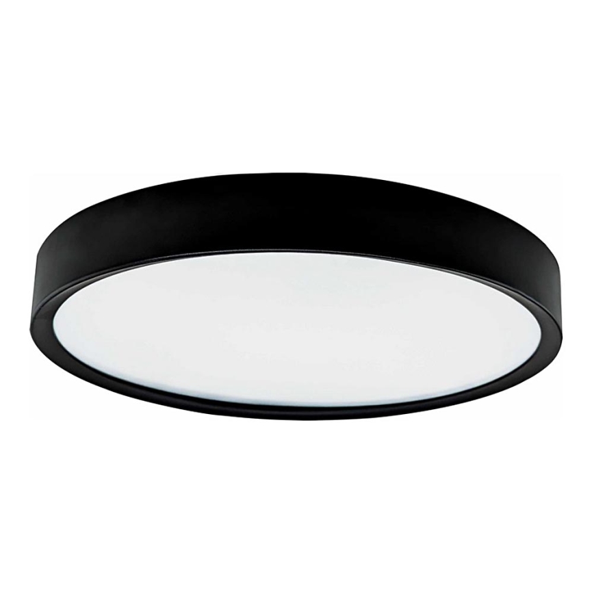 LED Stropní svítidlo SAMER LED/24W/230V 4000K