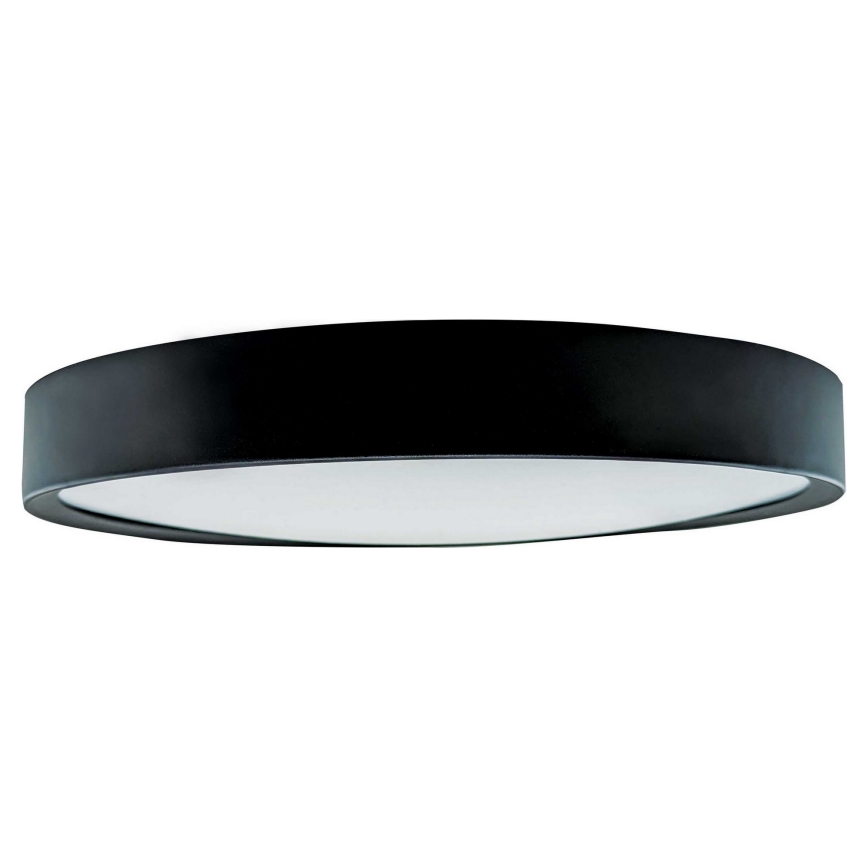 LED Stropní svítidlo SAMER LED/24W/230V 4000K