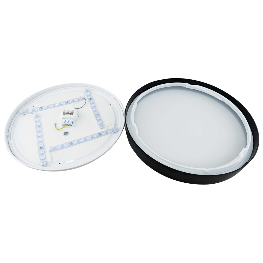LED Stropní svítidlo SAMER LED/24W/230V 4000K