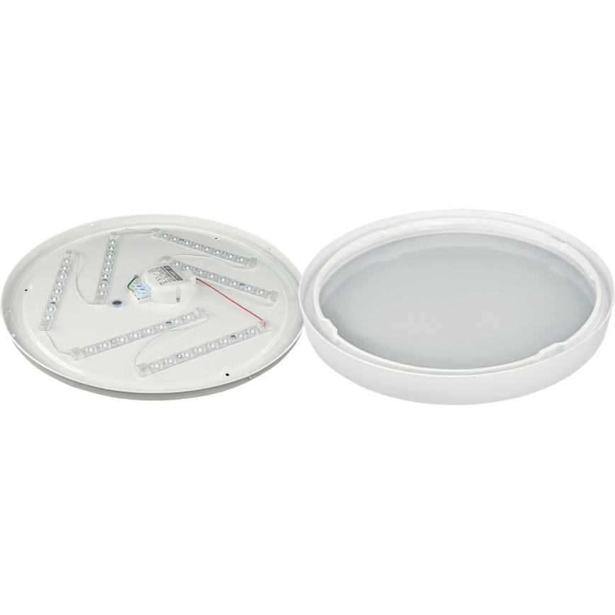 LED Stropní svítidlo SAMER LED/32W/230V 4000K