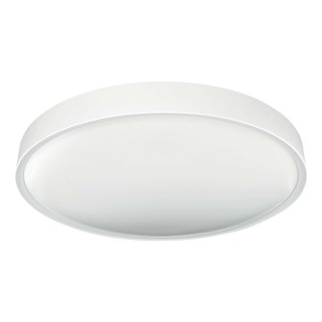 LED Stropní svítidlo SAMER LED/40W/230V 4000K