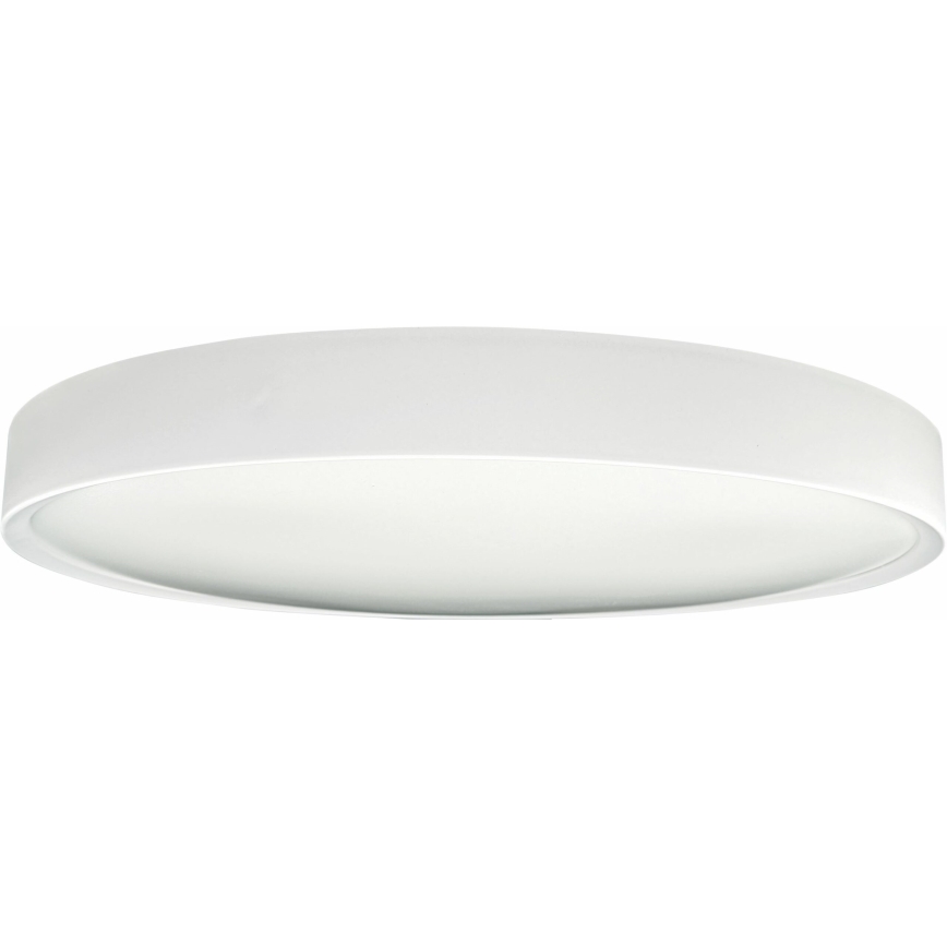LED Stropní svítidlo SAMER LED/40W/230V 4000K
