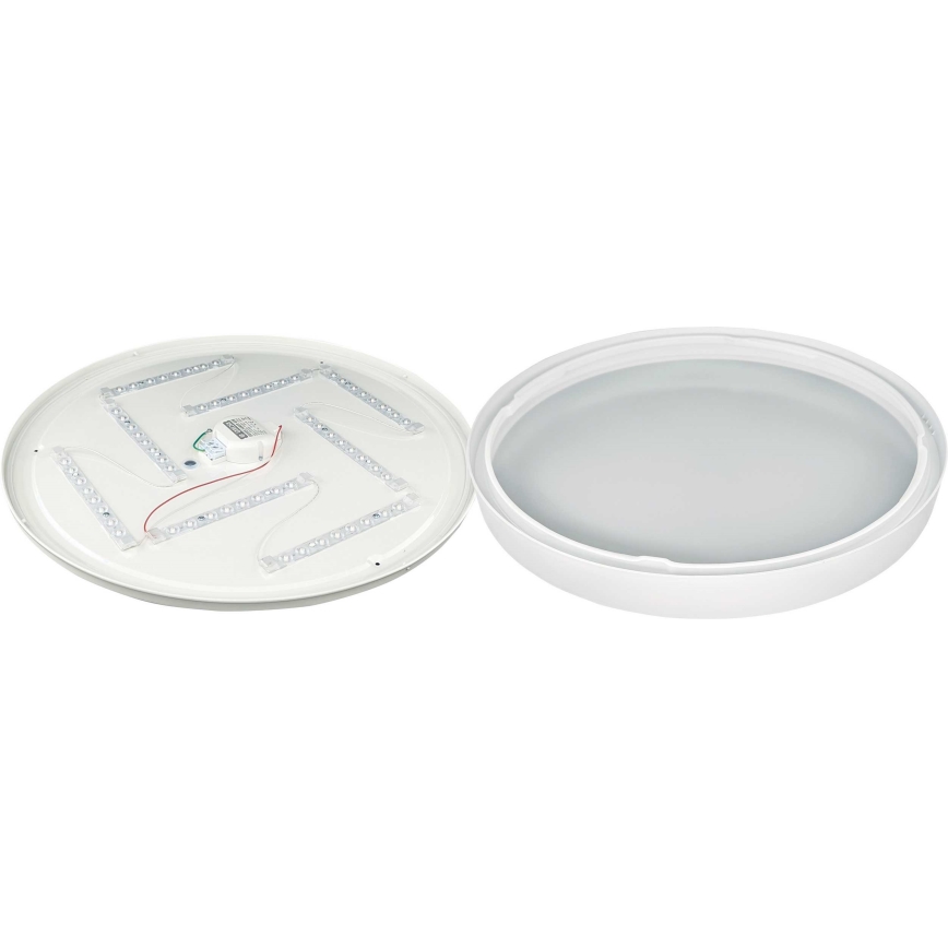 LED Stropní svítidlo SAMER LED/40W/230V 4000K