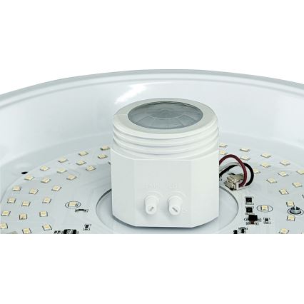 LED Stropní svítidlo se senzorem a nouzovým modulem MANA LED/12W/230V 1500 mAh 4000K