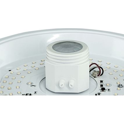 LED Stropní svítidlo se senzorem a nouzovým modulem MANA LED/16W/230V1500 mAh 4000K
