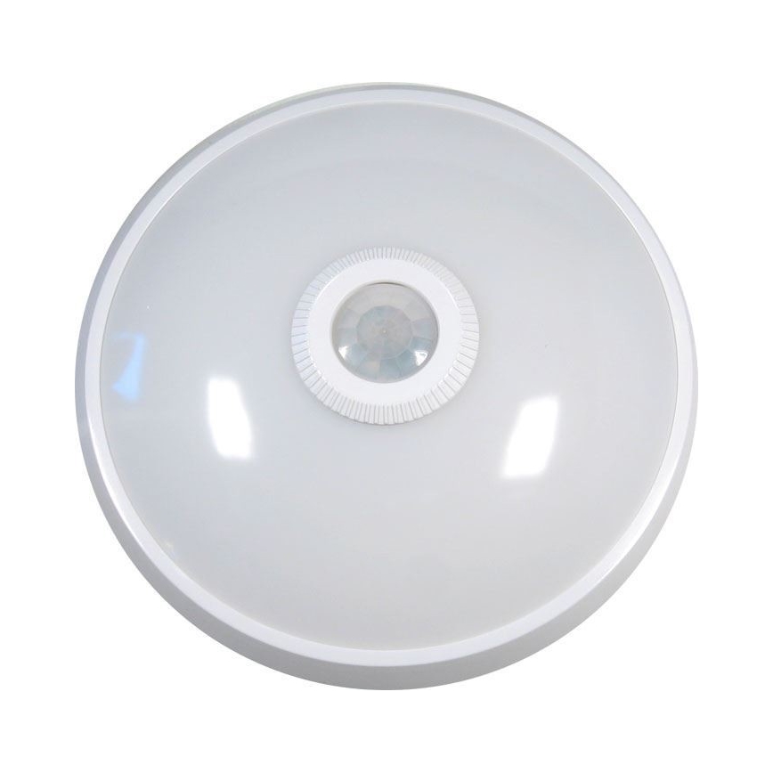 LED Stropní svítidlo se senzorem LED/12W/230V