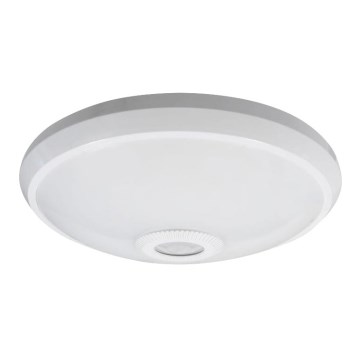 LED Stropní svítidlo se senzorem pohybu a soumraku LED/12W/230V