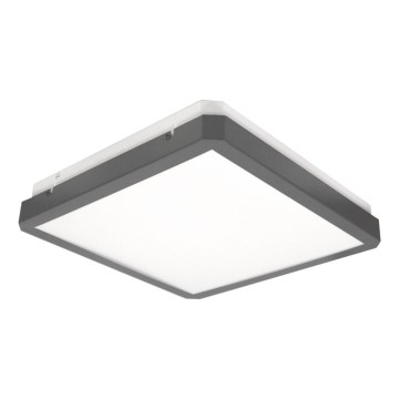 LED Stropní svítidlo se senzorem pohybu a soumraku RAVA LED/38W/230V 4000K 41x41 cm antracit