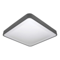 LED Stropní svítidlo se senzorem pohybu a soumraku WILTON LED/24W/230V 4000K 33x33 cm antracit