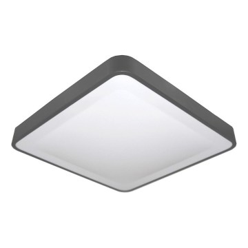 LED Stropní svítidlo se senzorem pohybu a soumraku WILTON LED/24W/230V 4000K 33x33 cm antracit