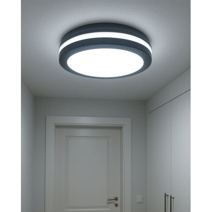 LED Stropní svítidlo se senzorem pohybu LED/20W/230V 3000/4000/6500K pr. 230 cm IP54 antracit
