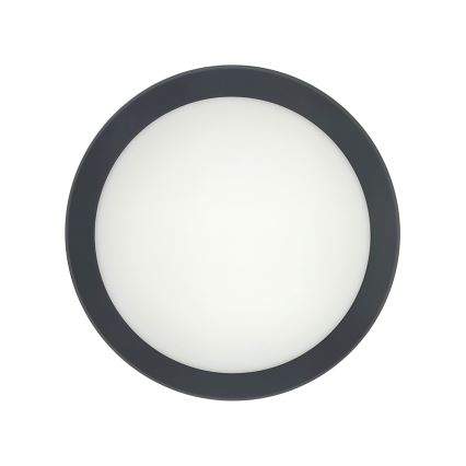 LED Stropní svítidlo se senzorem pohybu LED/20W/230V 3000/4000/6500K pr. 230 cm IP54 antracit