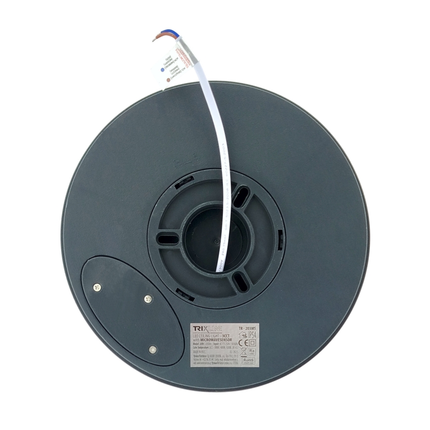 LED Stropní svítidlo se senzorem pohybu LED/20W/230V 3000/4000/6500K pr. 230 cm IP54 antracit