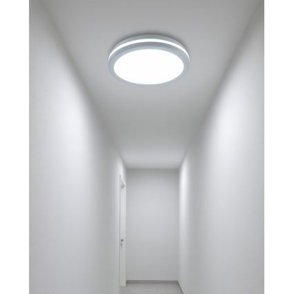 LED Stropní svítidlo se senzorem pohybu LED/20W/230V 3000/4000/6500K pr. 23 cm IP54 bílá
