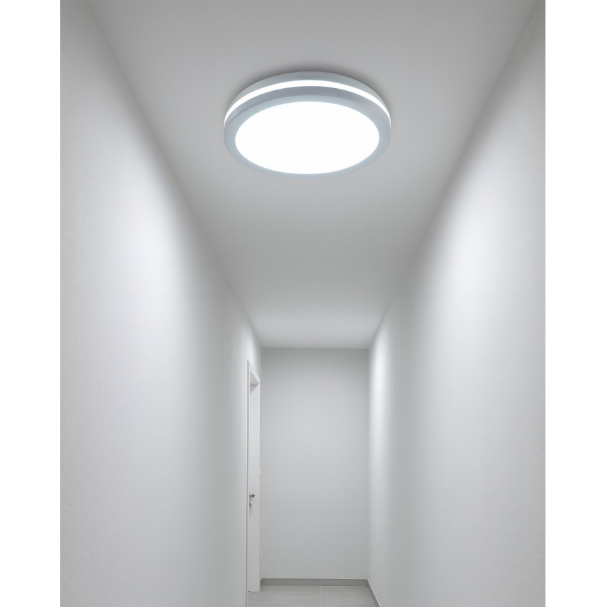 LED Stropní svítidlo se senzorem pohybu LED/20W/230V 3000/4000/6500K pr. 23 cm IP54 bílá