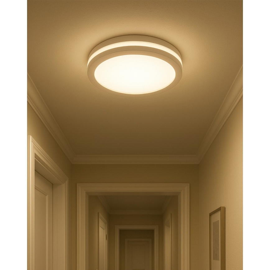 LED Stropní svítidlo se senzorem pohybu LED/20W/230V 3000/4000/6500K pr. 23 cm IP54 bílá