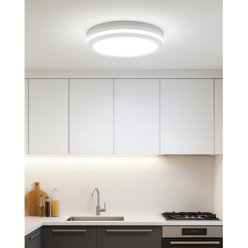 LED Stropní svítidlo se senzorem pohybu LED/20W/230V 3000/4000/6500K pr. 230 cm IP54 šedá