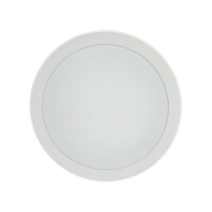LED Stropní svítidlo se senzorem pohybu LED/20W/230V 3000/4000/6500K pr. 230 cm IP54 šedá