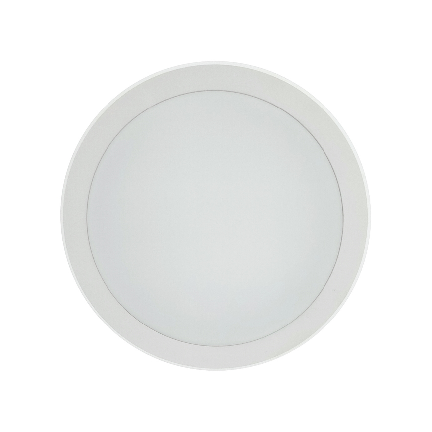 LED Stropní svítidlo se senzorem pohybu LED/20W/230V 3000/4000/6500K pr. 230 cm IP54 šedá