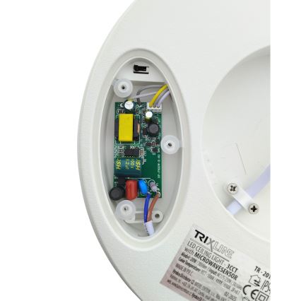LED Stropní svítidlo se senzorem pohybu LED/20W/230V 3000/4000/6500K pr. 230 cm IP54 šedá