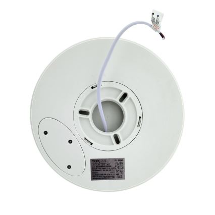 LED Stropní svítidlo se senzorem pohybu LED/20W/230V 3000/4000/6500K pr. 230 cm IP54 šedá