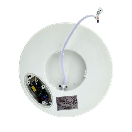 LED Stropní svítidlo se senzorem pohybu LED/20W/230V 3000/4000/6500K pr. 230 cm IP54 šedá