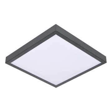 LED Stropní svítidlo se senzorem VITALI LED/24W/230V 4000K
