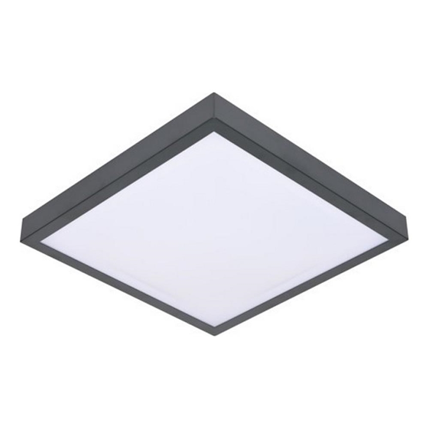 LED Stropní svítidlo se senzorem VITALI LED/24W/230V 4000K