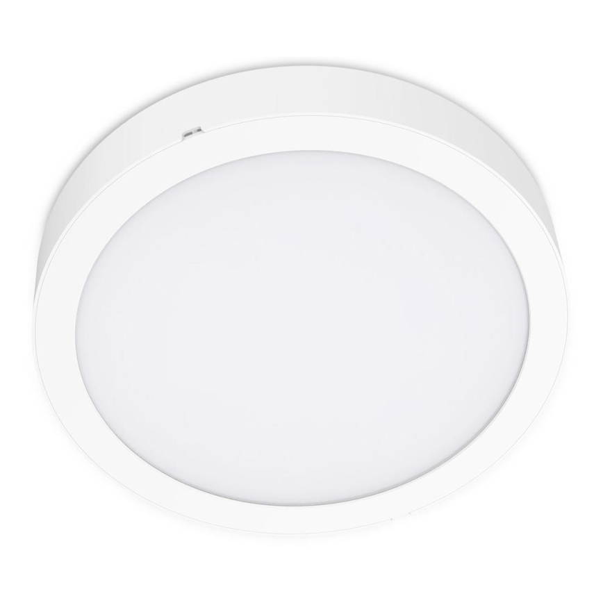 LED Stropní svítidlo SIGARO CIRCLE LED/24W/230V 4000K IP40