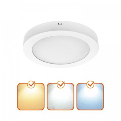 LED Stropní svítidlo SIGARO LED/18W/230V 3000/4000/6500K pr. 22 cm bílá
