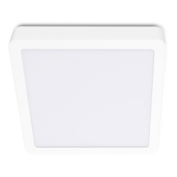 LED Stropní svítidlo SIGARO SQUARE LED/18W/230V 4000K IP40