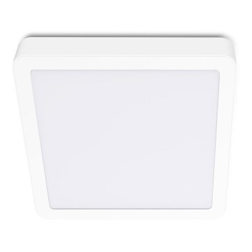 LED Stropní svítidlo SIGARO SQUARE LED/24W/230V 4000K IP40