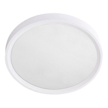 LED Stropní svítidlo SIMEN LED/18W/230V 4000K IP40 pr. 23 cm bílá UGR<19