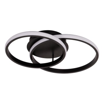 LED Stropní svítidlo TITANO LED/12W/230V černá