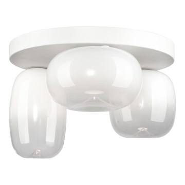 LED Stropní svítidlo VASO LED/12W/230V pr. 42 cm bílá