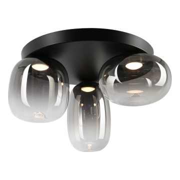 LED Stropní svítidlo VASO LED/12W/230V pr. 42 cm černá/kouřová