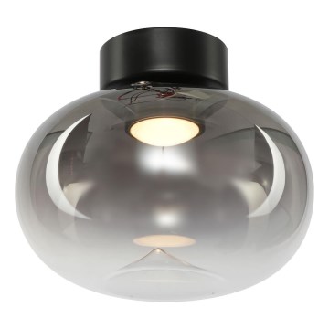 LED Stropní svítidlo VASO LED/4W/230V pr. 18 cm kouřová