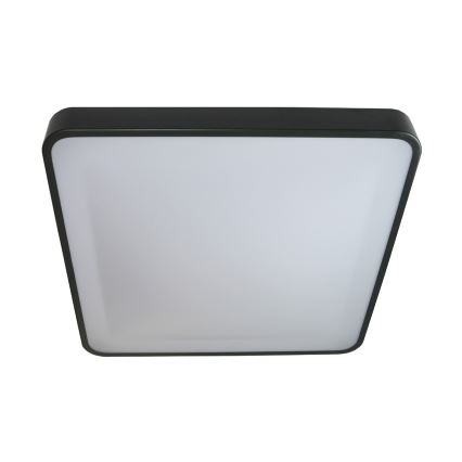 LED Stropní svítidlo WILTON LED/24W/230V antracit