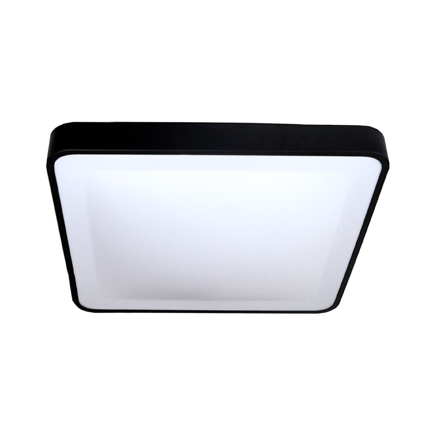 LED Stropní svítidlo WILTON LED/24W/230V 37,5x37,5 cm černá