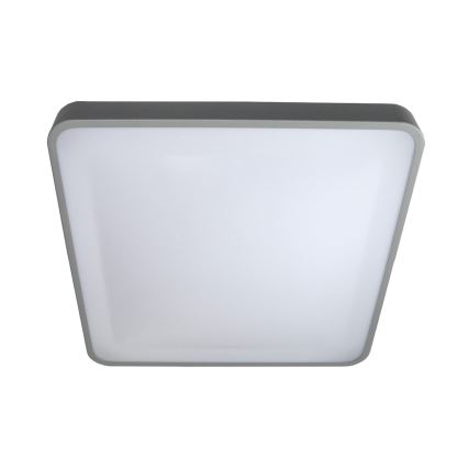 LED Stropní svítidlo WILTON LED/24W/230V šedá