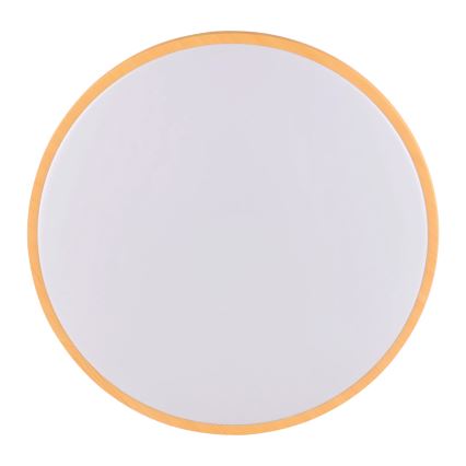 LED Stropní svítidlo WOODY LED/15W/230V pr. 28 cm