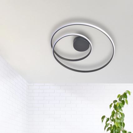 LED Stropní svítidlo ZEFIRA LED/40W/230V 4000K pr. 50 cm antracit