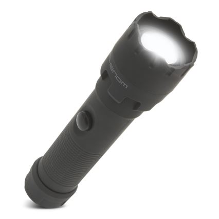 LED Svítilna LED/4xAAA IP54