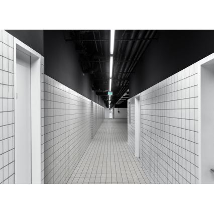 LED Technické svítidlo LIMEA MINI LED/36W/230V IP65 4000K