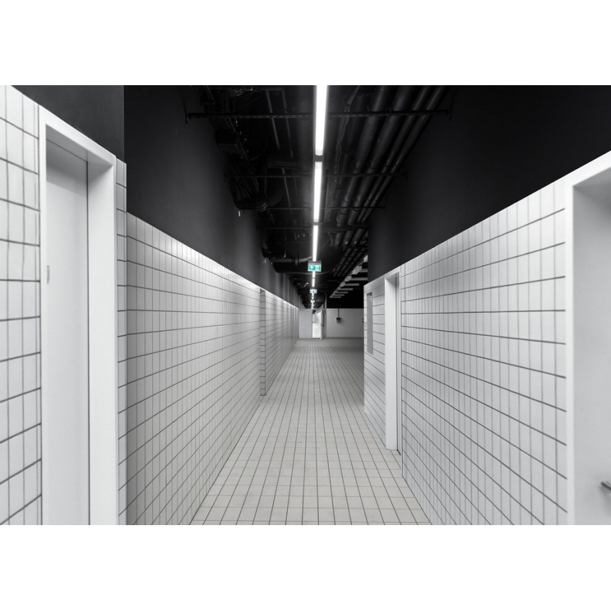 LED Technické svítidlo LIMEA MINI LED/36W/230V IP65 4000K