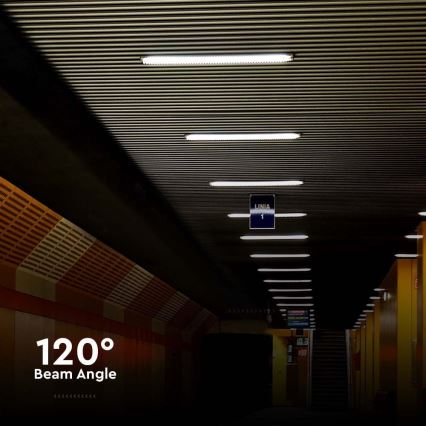 LED Technické zářivkové svítidlo LED/48W/230V 6500K IP65 150 cm